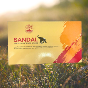 Forest Sandal Incense (12 Sticks)